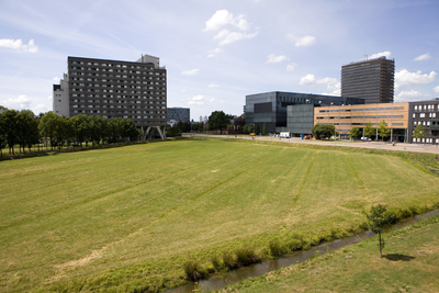 806463 Gezicht op het weiland ten zuiden van de Cambridgelaan te Utrecht, met links het studentencomplex Cambridgelaan.